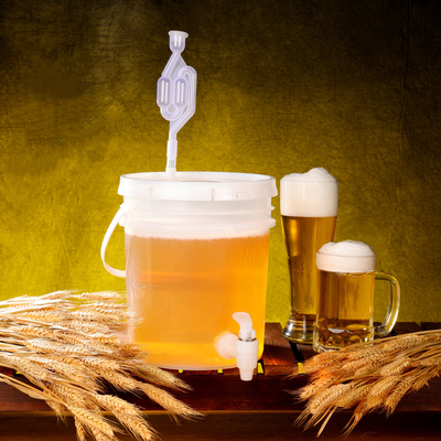 comprar 5L 10L 20L balde de fermentación translúcido para procesamiento doméstico Tipos de cerveza Fabricación en línea