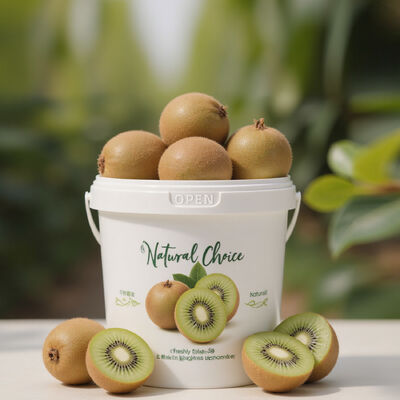 comprar Cubo de embalaje de frutas transpirable para mantener la frescura de 300 ml a 10 L con tapa y asa, cubo de almacenamiento de frutas para kiwi Fabricación en línea
