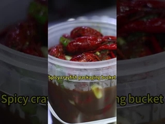 Baldes de plástico transparente para alimentos con tapas